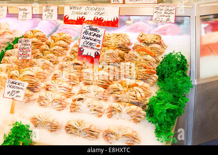 Jumbo Alaskan granchi sul display del famoso Pike Place Fish Market stand di Seattle, Washington, Stati Uniti d'America Foto Stock