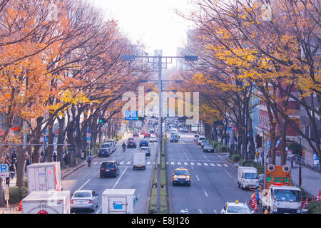 Giappone nella stagione autunnale prima della stagione invernale Foto Stock