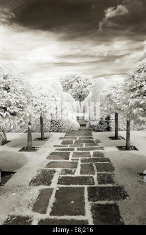 Fotografia a infrarossi di un classico giardino inglese, percorso attraverso prato. linee di alberi o lato a Wollerton Old Hall (NGS) Ma Foto Stock