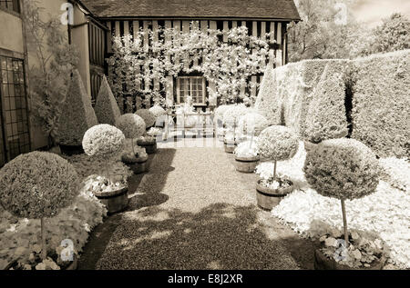Fotografia a infrarossi di un classico giardino inglese, la casella le sfere e le piramidi su entrambi i lati del sentiero di ghiaia, con panca in legno come focal p Foto Stock