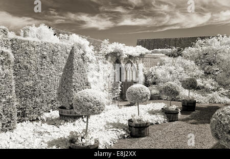 Fotografia a infrarossi di un classico giardino inglese, la casella le sfere e le Piramidi nel giardino murato a Wollerton Old Hall (NGS) Mercato Dray Foto Stock