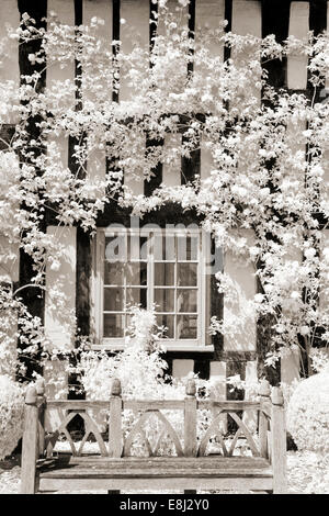 Fotografia a infrarossi di un classico giardino inglese, rose rampicanti round di windows a Wollerton Old Hall (NGS) Market Drayton nel Shro Foto Stock