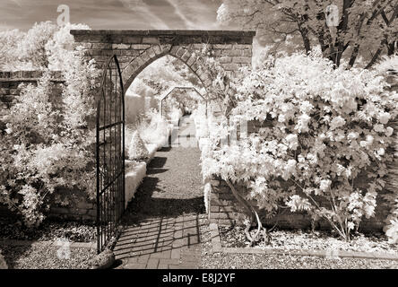 Fotografia a infrarossi di un classico giardino inglese, vista del giardino attraverso il gateway, piramide casella percorso di linea a Wollerton Old Hall Foto Stock