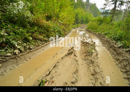 Extreme fuoristrada 4x4 fangoso titolo attraverso la foresta europea. La Polonia. Foto Stock