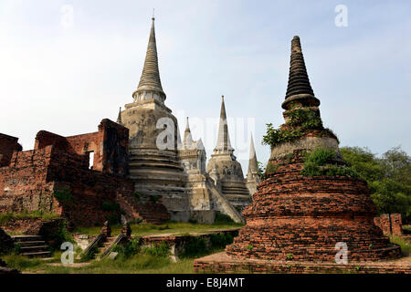 Chedis del Wat Phra Sri Sanphet, al parco storico di Ayutthaya, Ayutthaya, Thailandia Foto Stock