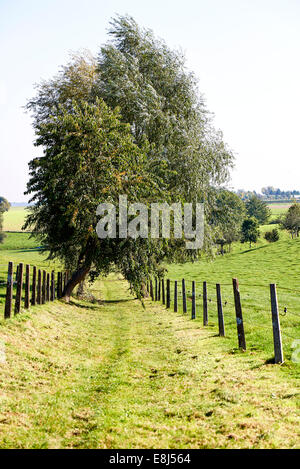 Paese rurale strada attraverso campi - verticale Foto Stock