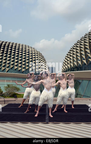 Singapore. 9 Ott 2014. Ballerini posano per una foto a Singapore la spianata sulla Ott 9, 2014. Coreografo britannico Matthew Bourne's Swan Lake aperto presso il Da:ns Festival in Singapore Esplanade giovedì. © poi Chih Wey/Xinhua/Alamy Live News Foto Stock