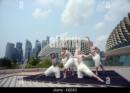 Singapore. 9 Ott 2014. Ballerini posano per una foto a Singapore la spianata sulla Ott 9, 2014. Coreografo britannico Matthew Bourne's Swan Lake aperto presso il Da:ns Festival in Singapore Esplanade giovedì. © poi Chih Wey/Xinhua/Alamy Live News Foto Stock