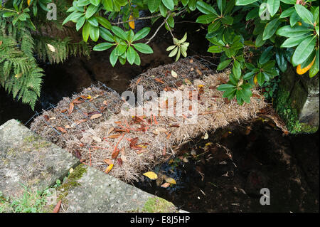Balle di paglia d'orzo utilizzate in un ruscello per chiarire uno stagno da giardino - la paglia produce perossido che controlla la crescita delle alghe (UK) Foto Stock