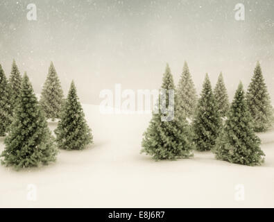 Scena d'inverno la neve del cielo e il verde degli alberi di pino Foto Stock