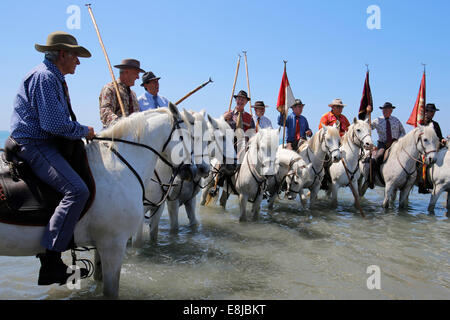 Pellegrinaggio degli zingari a les Saintes-Marie-de-la-Mer. "Mandriani' a cavallo scortare la processione a mare Foto Stock
