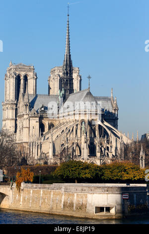 Parigi. Abside della cattedrale di Notre Dame. Foto Stock