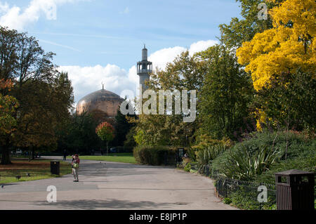 La Moschea centrale da Regent's Park in autunno, London, Regno Unito Foto Stock
