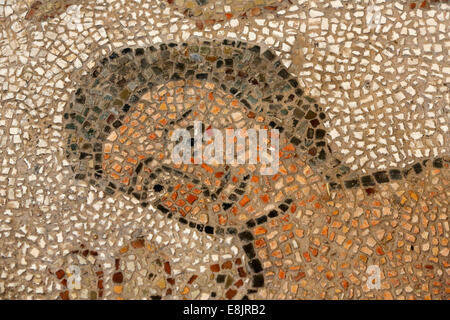 Navata centrale mosaico sul pavimento di Otranto duomo (cattedrale) Foto Stock