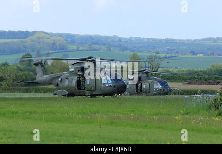 RAF Merlin elicotteri, rotori in esecuzione sulla striscia di fattoria Foto Stock