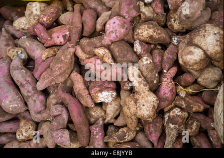 Ruanda: spesso in aree rurali o lato del paese di grandi mercati con frutta e verdura può essere trovato. Foto di Claudia Wiens Foto Stock