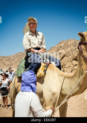 L'Egitto, il Sinai Sharm el Sheikh, Parco Nazionale di Nabq, senior turista godendo di corsa in cammello Foto Stock