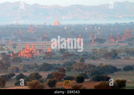 Templi emergono nella luce di alba a Bagan, Birmania (Myanmar) Foto Stock