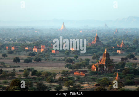Templi emergono nella luce di alba a Bagan, Birmania (Myanmar) Foto Stock