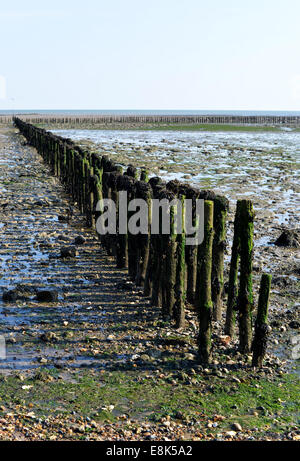 East Mersea Beach Foto Stock