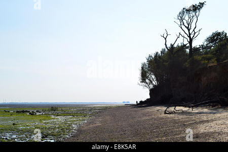 East Mersea Beach Foto Stock