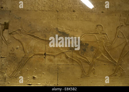 Arte Egizia Tempio di Seti I a Abydos. Rilievo raffigurante il faraone Ramesse II lassoing un toro con suo padre Seti I. Foto Stock