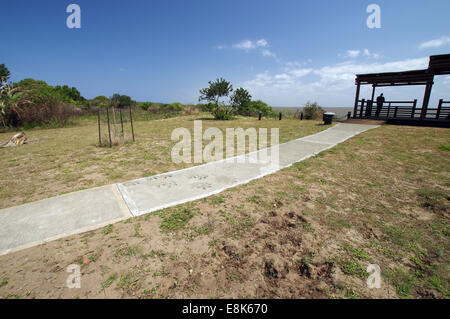 Footprint di Rhino vicino Catalina Bay lookout - iSimangaliso Wetland Park, Sud Africa Foto Stock