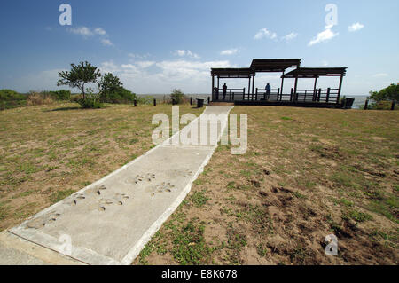 Footprint di Rhino vicino Catalina Bay lookout - iSimangaliso Wetland Park, Sud Africa Foto Stock