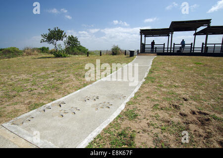 Footprint di Rhino vicino Catalina Bay lookout - iSimangaliso Wetland Park, Sud Africa Foto Stock