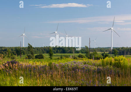 Le turbine eoliche torre nel paesaggio in una giornata di sole in Dufferin County, Ontario, Canada. Foto Stock