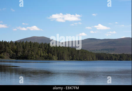 Costa boscosa Loch Garten la foresta di Abernethy tra Grantown & Aviemore Cromdale colline alle spalle di Speyside Highlands della Scozia Foto Stock