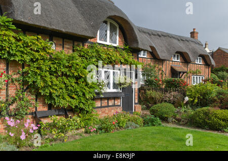 Graziosi cottage con il tetto di paglia nel villaggio di Ampthill, Bedfordshire, Regno Unito Foto Stock