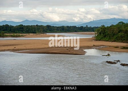 Aree allagate sulle rive del fiume Tambopata Tambopata, Riserva Naturale di Madre de Dios regione, Perù Foto Stock