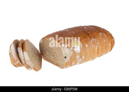 Ammuffito fette di pane focaccia su uno sfondo bianco. Foto Stock