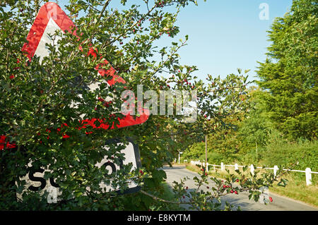 Scuola ricoperta del traffico su strada segno, Charsfield, Suffolk, Regno Unito. Foto Stock