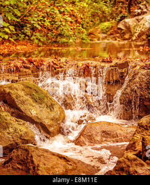 Bella piccola cascata nella foresta, stagione autunnale, splendido paesaggio naturale, il fiume che scorre sulle pietre Foto Stock