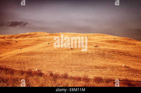 Bellissimo paesaggio autunnale, golden dry campo di grano con pagliaio su di esso, rurale panorama agricolo, la stagione del raccolto di concetto Foto Stock