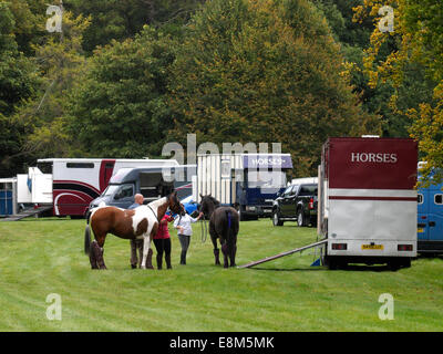 Horseboxes in corrispondenza di un evento, Chettle, Dorset, Regno Unito Foto Stock