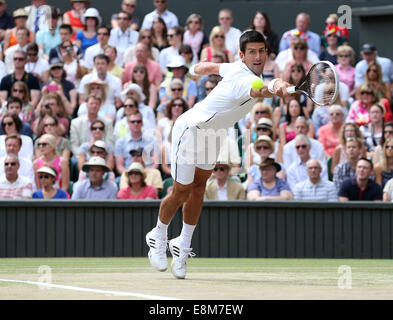 Novak Djokovic (SRB),campionati di Wimbledon 2014,Londra,Inghilterra. Foto Stock