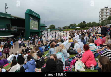 Gli spettatori su Mount Murray presso i campionati di Wimbledon 2014, Foto Stock