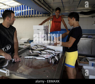 Sicilia Italia Mercato del Pesce a Porticello adolescente eviscerazione pesce Foto Stock