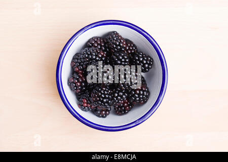 Rubus fructicosus. Appena raccolto more in un recipiente di smalto. Foto Stock