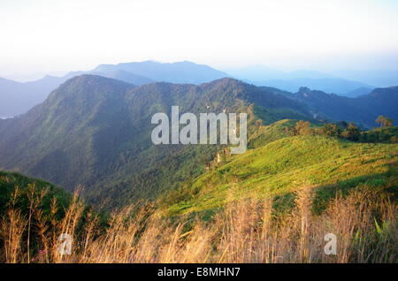 Di montagna e di erba in Phu Chi fa Forest Park , Chiang Rai, Thailandia Foto Stock