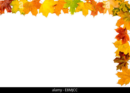 Un telaio realizzato con foglie di autunno isolati su sfondo bianco Foto Stock
