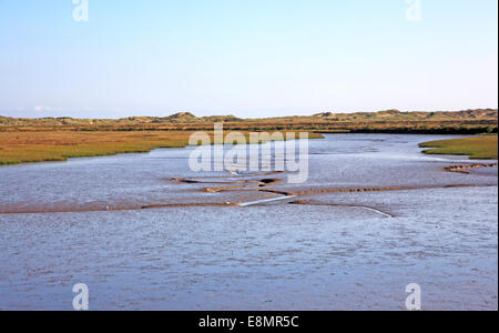 Una vista di un torrente rivelando le velme a bassa marea a Burnham Overy, Norfolk, Inghilterra, Regno Unito. Foto Stock