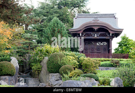 Splendido e tranquillo giardino giapponese di Kew Gardens in autunno. Foto Stock