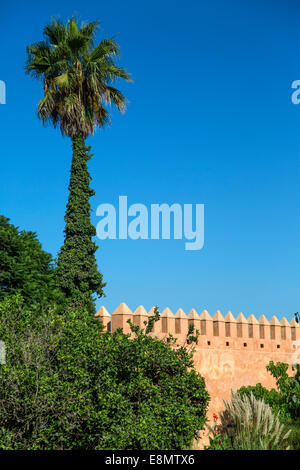 Vecchie mura della città di Rabat, Marocco Foto Stock