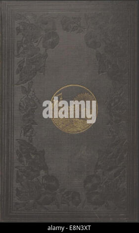 Questa illustrazione del 1856 di Charlton presenta una mappa e un disegno del New Hampshire, che riflettono la geografia dello stato, i punti di riferimento e i primi modelli di insediamento durante la metà del XIX secolo. Foto Stock