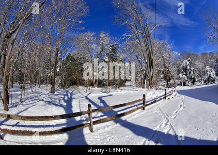 Coperta di neve park Long Island New York Foto Stock