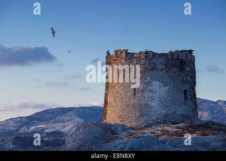 La torre costiera sulla Sardegna spiaggia de La Pelosa, d'estate sunrise Foto Stock